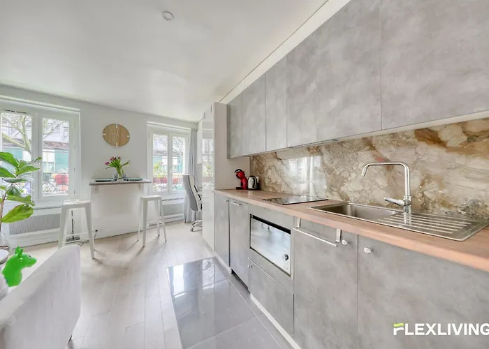 Beautiful And Bright Elegant Parisian 1-bedroom פריז