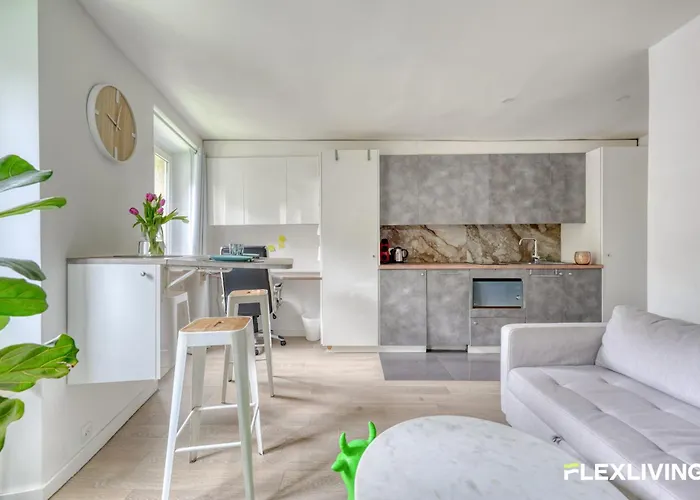 Beautiful And Bright Elegant Parisian 1-bedroom פריז